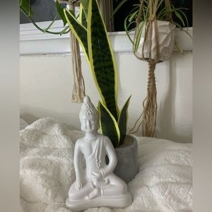 Buddha statue & fake snake plant both are new !